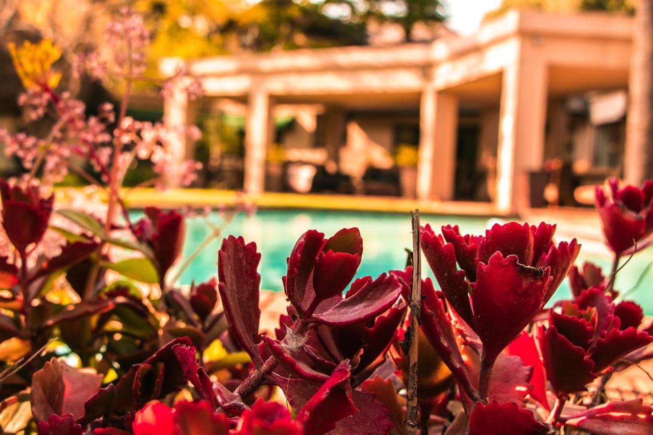 Lourie Lodge Sandton Exterior foto